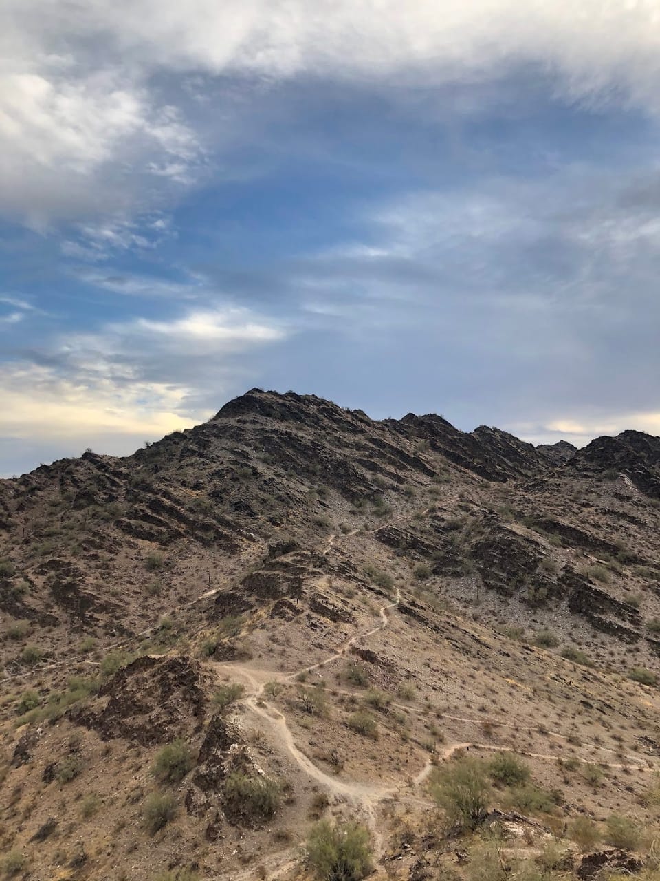 Just Add Water (and Sunlight, and Sleep, and Gratitude): An Energy Management Playbook for Startup Founders